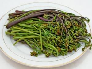 孕婦吃蕨菜有什么好處？孕婦吃蕨菜的做法