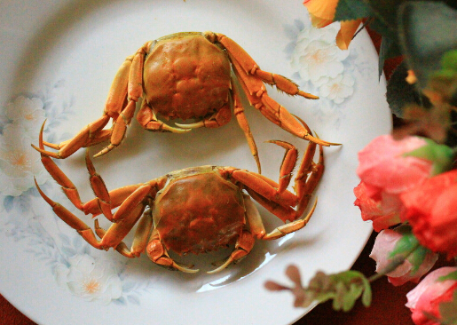 зĽ-зܳʲô