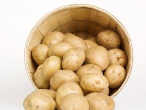 土豆到底是減肥食品還是致胖食品？