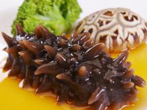海參不能和什么一起吃？海參的5大食用禁忌