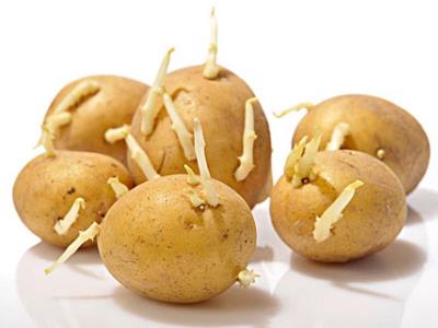 食物不能食用的部位?吃什么會(huì)食物中毒