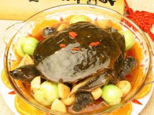 甲魚不能和什么一起吃？吃甲魚有哪些飲食禁忌