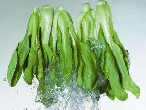 如何選購油菜？油菜的食用禁忌