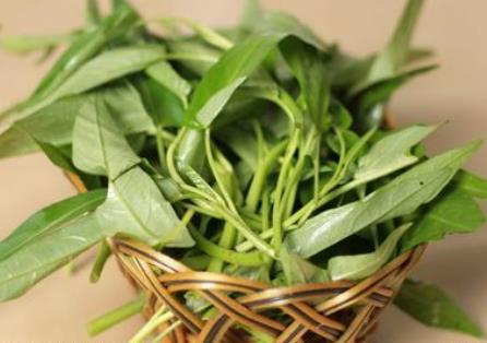 如何挑選空心菜?吃空心菜的食用禁忌