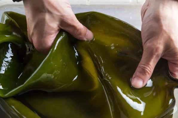 長霉的海帶洗干凈可以吃嗎 干海帶有白點是發(fā)霉了嗎