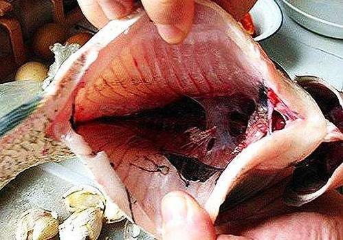 魚身上四個部位要少吃:魚腹黑膜、魚膽、魚頭、淡水魚生魚片
