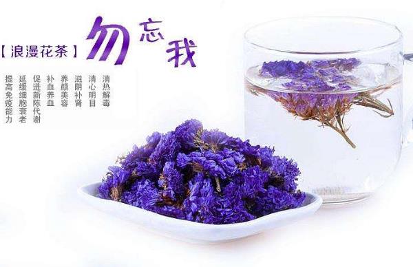 勿忘我花茶的功效及作用,喝勿忘我花茶的禁忌有哪些?