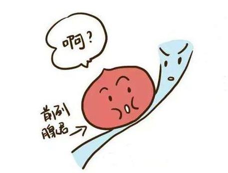 前列腺結(jié)石的飲食禁忌有哪些?前列腺結(jié)石的癥狀