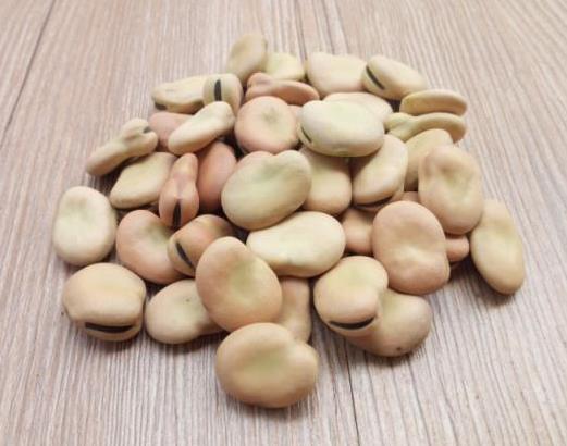 吃干蠶豆有哪些好處?吃干蠶豆要注意什么事項