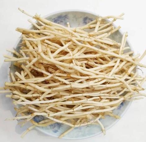 魚腥草能和茅草根一起吃嗎?什么人不能吃魚腥草?