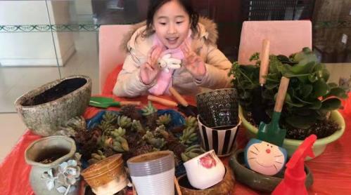 邀您參與錦江之星“植享驚喜妙趣”活動(dòng),讓我們?yōu)槊阑h(huán)境盡一份力
