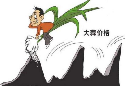 蒜你狠是什么意思?網(wǎng)絡(luò)用語蒜你狠的來源 大蒜漲價原因
