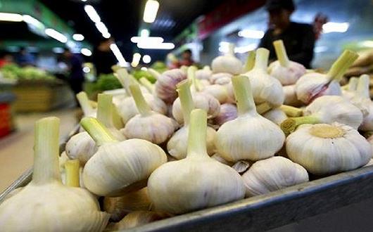 蒜你狠是什么意思?網(wǎng)絡(luò)用語蒜你狠的來源 大蒜漲價原因
