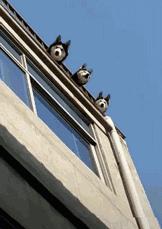 確認(rèn)過(guò)眼神是什么意思?確認(rèn)過(guò)眼神是什么梗?林俊杰醉赤壁中的歌詞