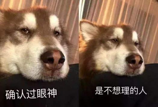 確認(rèn)過(guò)眼神是什么意思?確認(rèn)過(guò)眼神是什么梗?林俊杰醉赤壁中的歌詞