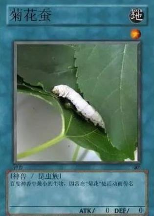 中國網(wǎng)絡(luò)十大神獸是什么意思?網(wǎng)絡(luò)十大神獸都是什么?神獸排行榜