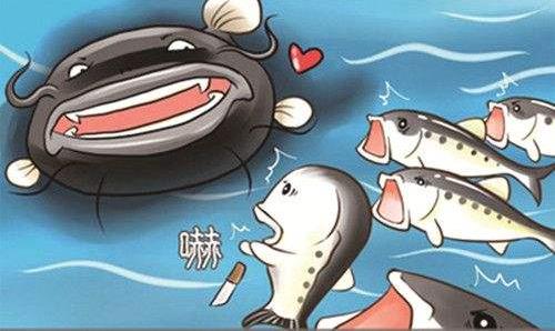效應(yīng)是什么意思?20個著名效應(yīng) 78種經(jīng)典效應(yīng)定律大全