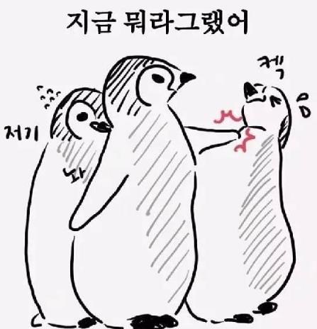 阿西吧是什么意思 阿西吧為什么在韓國(guó)是罵人話 韓語(yǔ)罵人的話中文讀法
