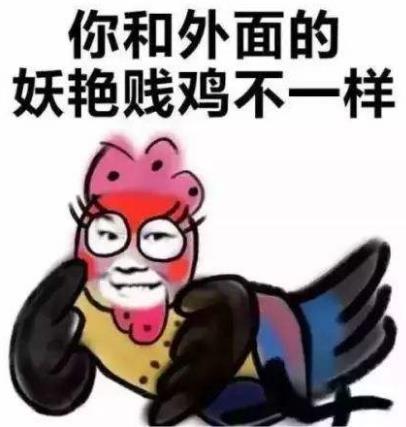 安靜如雞是什么意思?安靜的像只雞什么梗?安相機粉絲圈常用詞