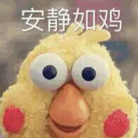 安靜如雞是什么意思?安靜的像只雞什么梗?安相機粉絲圈常用詞