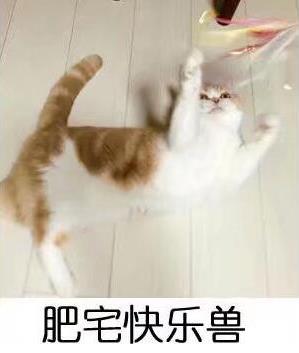 肥宅快樂(lè)水是什么意思?為什么可樂(lè)叫肥宅快樂(lè)水?喝可樂(lè)為什么容易長(zhǎng)胖