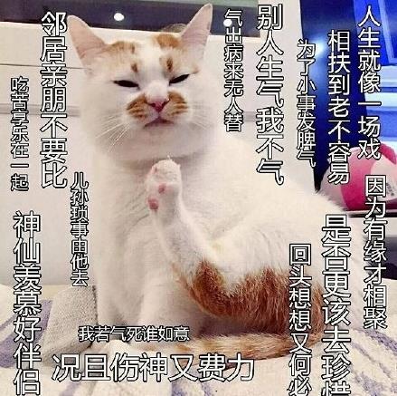 佛系是什么意思什么梗?佛系及衍生詞語(yǔ)刷屏 佛系和佛教有關(guān)系嗎