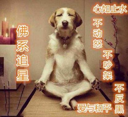 佛系是什么意思什么梗?佛系及衍生詞語(yǔ)刷屏 佛系和佛教有關(guān)系嗎