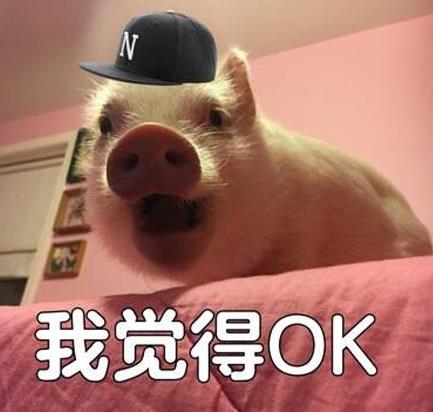 完全o幾把k是什么意思什么梗?o幾把k英文字母怎么寫(xiě)?ojbk罵人話嗎