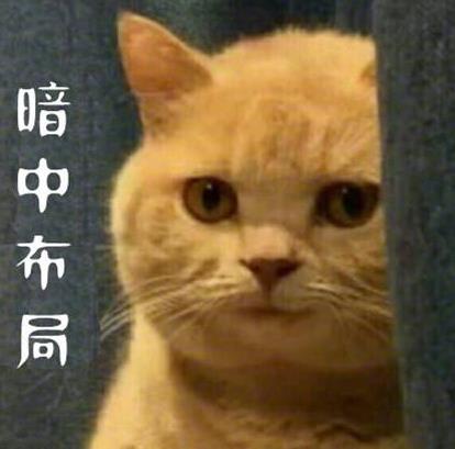 我有一個(gè)大膽的想法是什么意思什么梗?我有一個(gè)無恥又大膽的想法