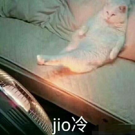 泡jio是什么意思什么梗?jio是哪個(gè)地方的方言 一起泡jio表情包