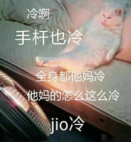 泡jio是什么意思什么梗?jio是哪個(gè)地方的方言 一起泡jio表情包