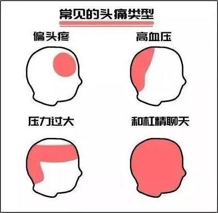 杠精是什么意思什么梗?杠精的特征表現(xiàn) 遇到杠精怎么辦如何應(yīng)對