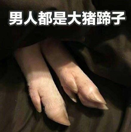 男人都是大豬蹄子是什么意思什么梗?女人吐槽男人沒有一個(gè)好東西