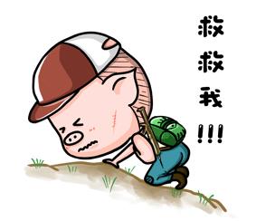 豬隊(duì)友是什么意思什么梗?不怕虎一樣的敵人,就怕豬一樣的隊(duì)友