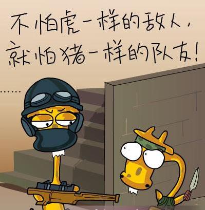豬隊(duì)友是什么意思什么梗?不怕虎一樣的敵人,就怕豬一樣的隊(duì)友