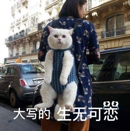 人間不值得是什么意思什么梗?喪文化網(wǎng)絡(luò)梗:開(kāi)心點(diǎn)朋友們,人間不值得