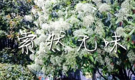 索然無味是什么梗 隨著身體的一陣顫抖,圖片已經變的索然無味