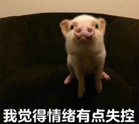 我覺得不行 我覺得ok是什么意思什么梗 我覺得不行 我覺得ok的含義