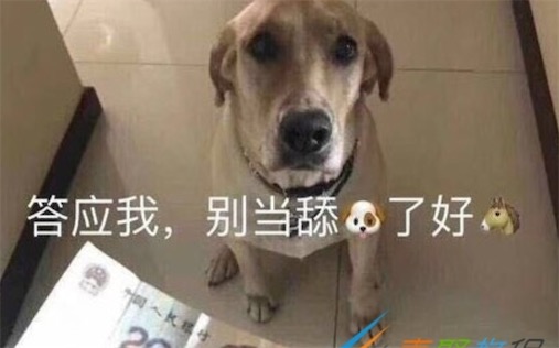 舔狗是什么意思什么梗 舔狗指毫無尊嚴(yán)去跪舔他人的人