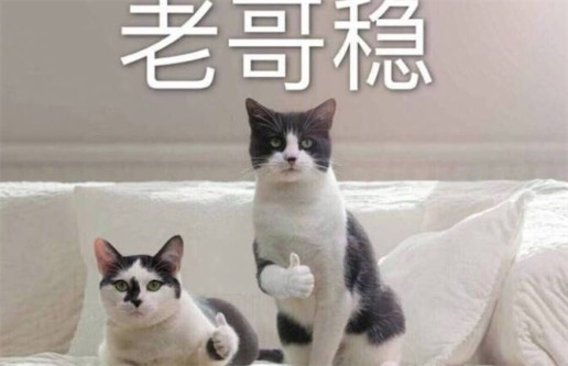 老哥穩(wěn)什么意思什么梗 老哥穩(wěn)是夸贊對(duì)方很厲害
