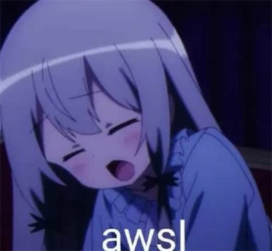 awsl是什么意思什么梗 AWSL是啊我死了的含義