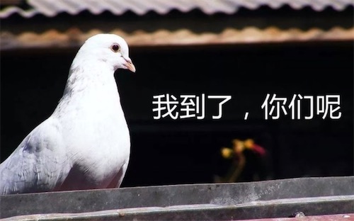 咕咕咕是什么意思什么梗 咕咕咕的含義及出處