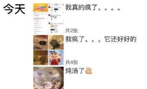 沒(méi)有感情的廣東人是什么意思什么梗 廣東人燉烏龜?shù)暮x