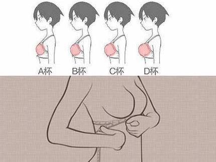 ֱʲô˼ֱabcdefgôִСDƬֱߴ猦ձ