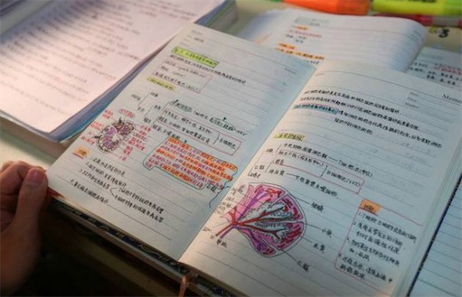 學(xué)弱是什么意思什么梗 學(xué)霸和學(xué)弱的區(qū)別