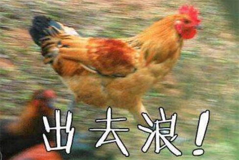 xxj是什么意思什么梗 xxj是小學(xué)雞的拼音首字母縮寫