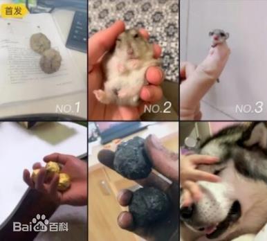 盤(pán)它是什么意思什么梗 甭管是啥盤(pán)它就對(duì)了 2019年首個(gè)網(wǎng)絡(luò)流行語(yǔ)