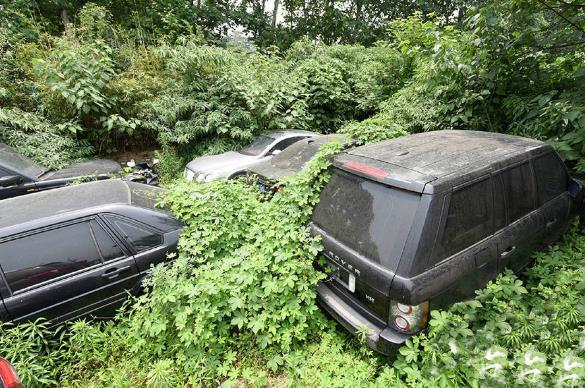僵尸車是什么意思 城市里僵尸車放爛也不開(kāi)走 產(chǎn)生的原因是什么