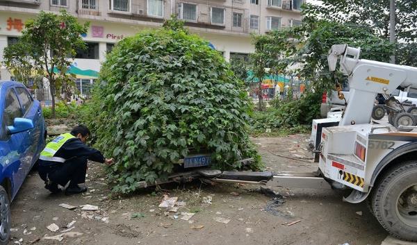 僵尸車是什么意思 城市里僵尸車放爛也不開(kāi)走 產(chǎn)生的原因是什么
