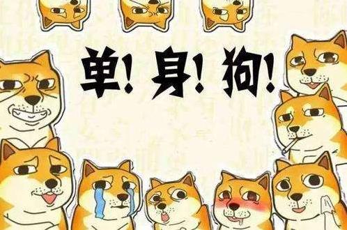 自殺式單身是什么意思什么梗 90后新詞匯“自殺式單身”有多無解